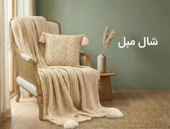 /images/thumbs/0011101_Frame 45 (1).jpeg